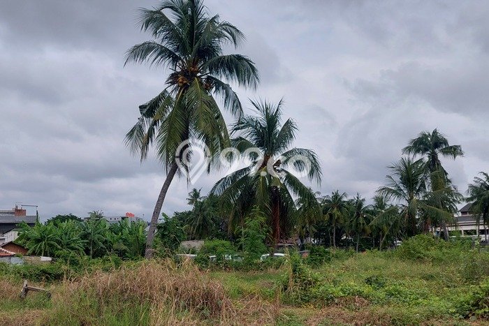 Tanah di Benda, Tangerang Luas 1000m2 Dijual Segera Tanah di Benda, Tangerang Luas 1000m2 Dijual Segera