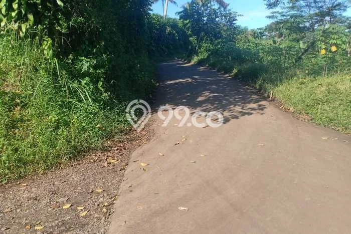 Tanah Strategis Dijual di Cibadak Sukabumi 200000m2 Tanah Strategis Dijual di Cibadak Sukabumi 200000m2
