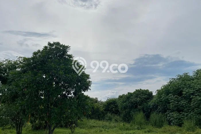 Tanah untuk Dijual di Cisauk Tangerang Luas 5000m2 Tanah untuk Dijual di Cisauk Tangerang Luas 5000m2