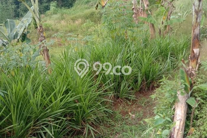 Lahan Strategis di Caringin Dijual dengan Luas 8100m2 Lahan Strategis di Caringin Dijual dengan Luas 8100m2