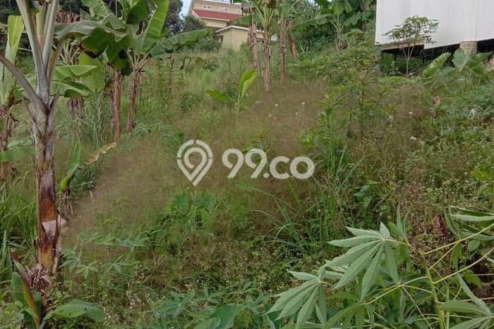 Lahan Strategis di Caringin Dijual dengan Luas 8100m2 Lahan Strategis di Caringin Dijual dengan Luas 8100m2