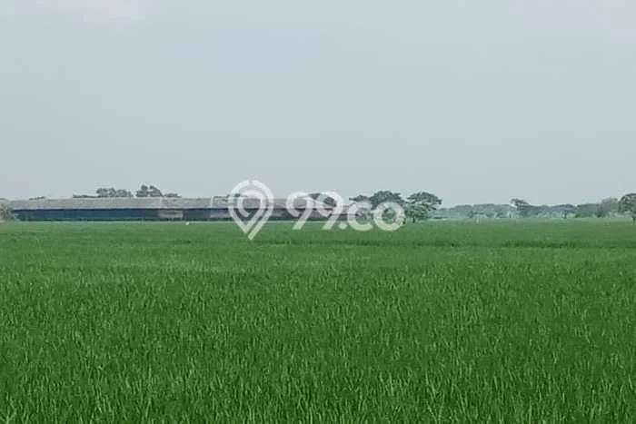 Tanah di Pebayuran, Bekasi Luas 19258m2 Dijual Segera Tanah di Pebayuran, Bekasi Luas 19258m2 Dijual Segera