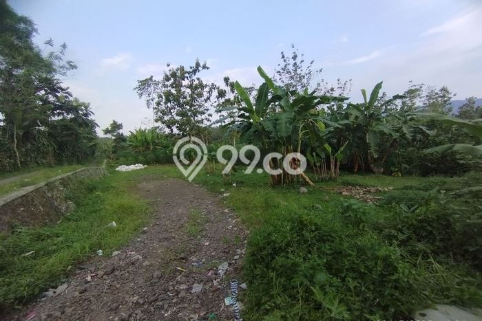 Tanah untuk Dijual Lokasi Nagrak, Sukabumi Luas 45000m2 SHM Tanah untuk Dijual Lokasi Nagrak, Sukabumi Luas 45000m2 SHM