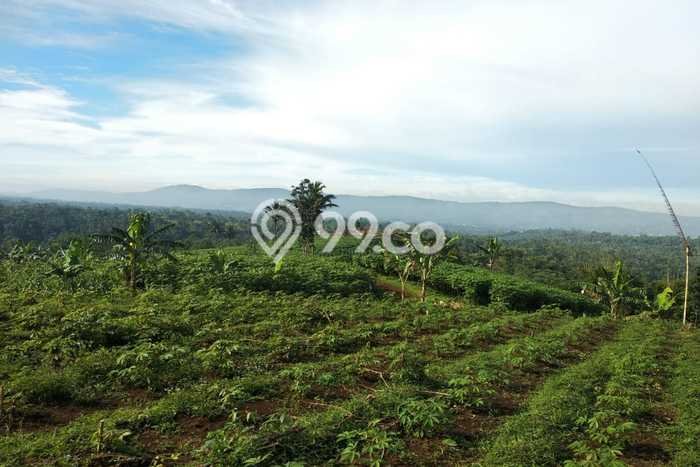 Tanah di Cibadak, Sukabumi Luas 200000m2 Dijual Segera Tanah di Cibadak, Sukabumi Luas 200000m2 Dijual Segera
