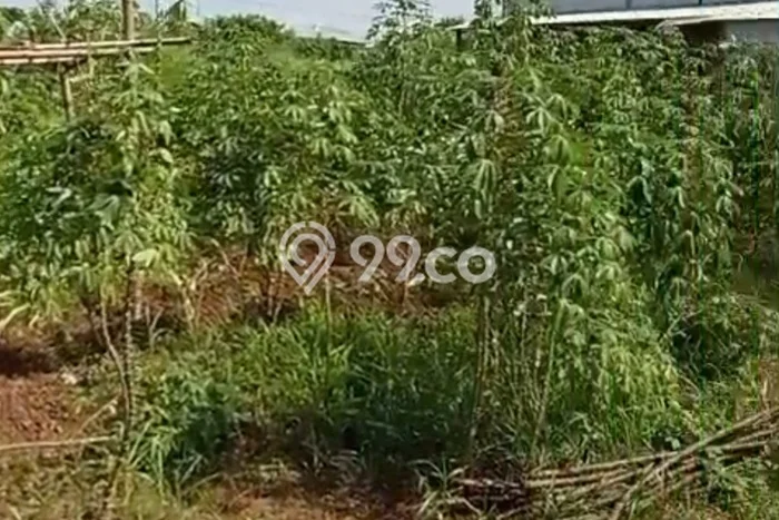 Tanah di Sepatan, Tangerang Luas 76000m2 Dijual Segera Tanah di Sepatan, Tangerang Luas 76000m2 Dijual Segera