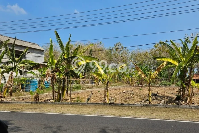 Jarang Ada! Tanah di Brondong Punya Luas 2477m2 SHM Jarang Ada! Tanah di Brondong Punya Luas 2477m2 SHM