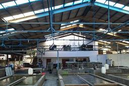 FOR SALE! Gudang di Kalideres Jakarta Barat, LT 4000m2, LB 972m2 FOR SALE! Gudang di Kalideres Jakarta Barat, LT 4000m2, LB 972m2