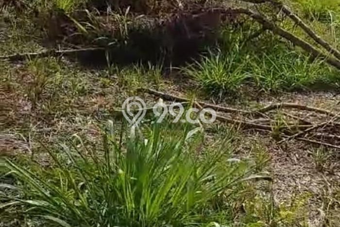 Lahan Kosong Dijual di Tangerang dengan Area 8632m2 Lahan Kosong Dijual di Tangerang dengan Area 8632m2