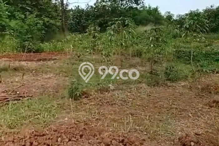 Tanah di Sepatan, Tangerang Luas 76000m2 Dijual Segera Tanah di Sepatan, Tangerang Luas 76000m2 Dijual Segera