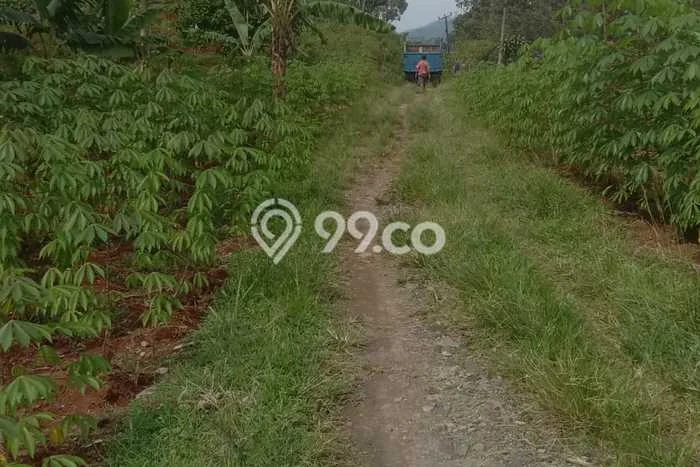 Tanah Strategis Dijual di Cibadak Sukabumi 200000m2 Tanah Strategis Dijual di Cibadak Sukabumi 200000m2