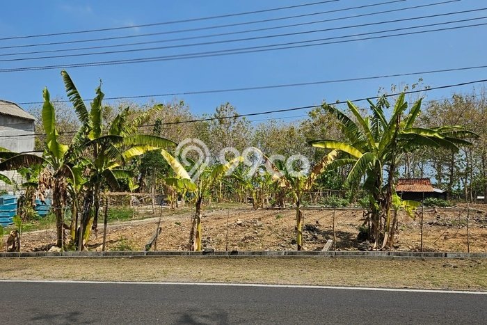 Jarang Ada! Tanah di Brondong Punya Luas 2477m2 SHM Jarang Ada! Tanah di Brondong Punya Luas 2477m2 SHM