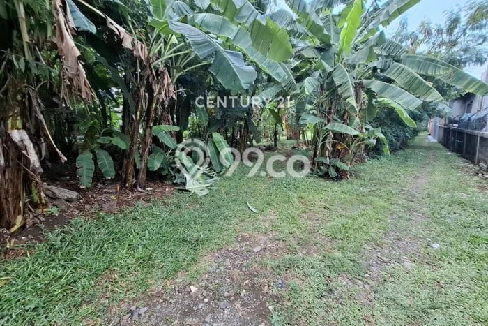 Tanah Siap Bangun Dijual di Tangerang Selatan Punya Luas 500m2 Tanah Siap Bangun Dijual di Tangerang Selatan Punya Luas 500m2