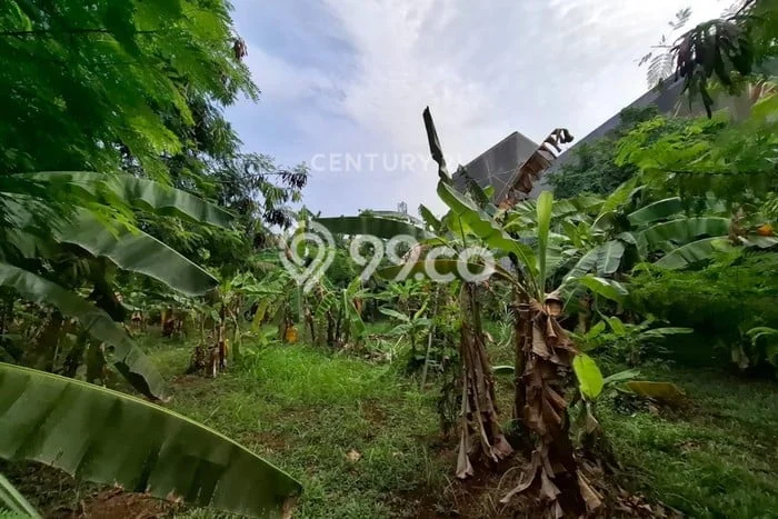 Tanah Siap Bangun Dijual di Tangerang Selatan Punya Luas 500m2 Tanah Siap Bangun Dijual di Tangerang Selatan Punya Luas 500m2