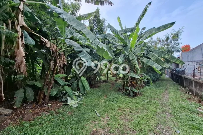 Tanah Siap Bangun Dijual di Tangerang Selatan Punya Luas 500m2 Tanah Siap Bangun Dijual di Tangerang Selatan Punya Luas 500m2