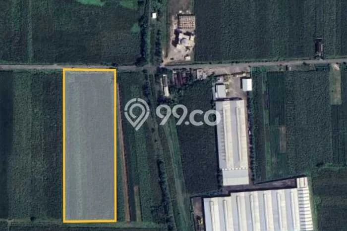 Tanah Dijual Lokasi Kemlagi, Mojokerto Luas 23100m2 Legalitas Aman Tanah Dijual Lokasi Kemlagi, Mojokerto Luas 23100m2 Legalitas Aman