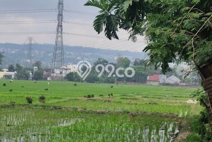 Jarang Ada! Tanah di Pakis Punya Luas 3170m2 SHM Jarang Ada! Tanah di Pakis Punya Luas 3170m2 SHM