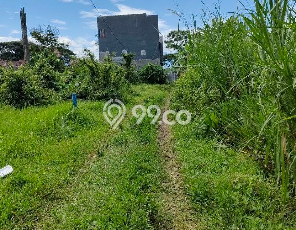 Tanah Strategis Dijual di Pakis Malang 84m2 Tanah Strategis Dijual di Pakis Malang 84m2