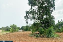 Kavling Tanah di Tegineneng Dijual Luas 3010m2 Legalitas SHM Kavling Tanah di Tegineneng Dijual Luas 3010m2 Legalitas SHM