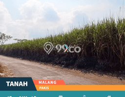 Tanah Kavling di Pakis Dijual dengan Luas 5400m2 Tanah Kavling di Pakis Dijual dengan Luas 5400m2
