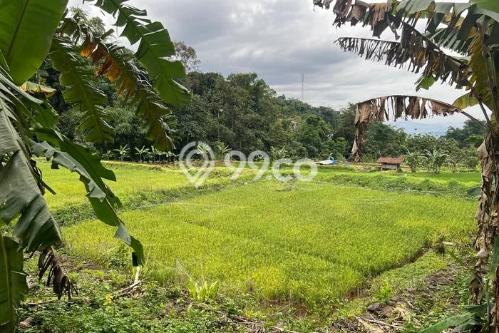 Tanah di Bogor Selatan, Bogor Luas 30000m2 Dijual Segera Tanah di Bogor Selatan, Bogor Luas 30000m2 Dijual Segera