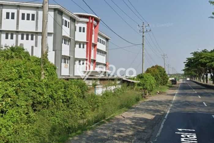Tanah Disewakan di Kaliwungu, Semarang, Luas 12000m2 SHM Tanah Disewakan di Kaliwungu, Semarang, Luas 12000m2 SHM