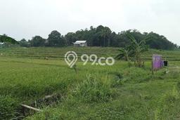 Tanah Kavling di Jonggol Dijual dengan Luas 100000m2 Tanah Kavling di Jonggol Dijual dengan Luas 100000m2