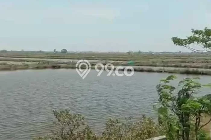 Lahan Kosong Dijual di Losari, Cirebon, Luas 1e+07m2 Area Strategis Lahan Kosong Dijual di Losari, Cirebon, Luas 1e+07m2 Area Strategis