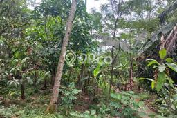 Lahan Investasi Lokasi Jonggol Bogor SHM Lahan Investasi Lokasi Jonggol Bogor SHM