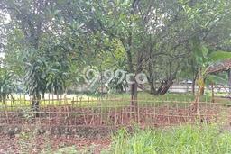 Dijual Tanah di Cileungsi Bogor Luas 1000m2 SHM Dijual Tanah di Cileungsi Bogor Luas 1000m2 SHM
