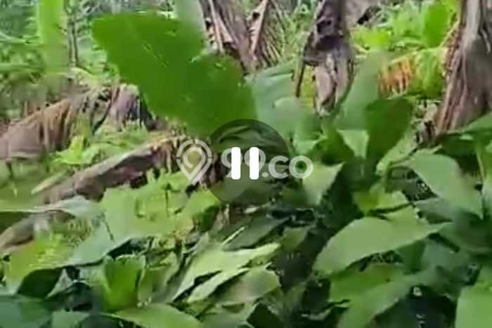 Lahan Kosong Dijual di Parakan Salak, Sukabumi, Luas 280000m2 Area Strategis Lahan Kosong Dijual di Parakan Salak, Sukabumi, Luas 280000m2 Area Strategis