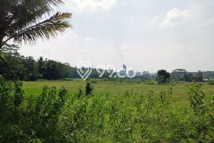 Tanah Dijual Lokasi Citeureup, Bogor Luas 350000m2 Legalitas Aman Tanah Dijual Lokasi Citeureup, Bogor Luas 350000m2 Legalitas Aman