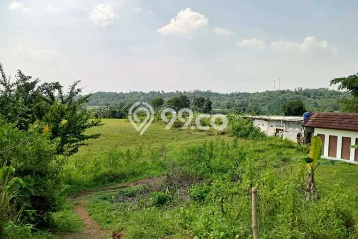 Tanah Dijual Lokasi Citeureup, Bogor Luas 350000m2 Legalitas Aman Tanah Dijual Lokasi Citeureup, Bogor Luas 350000m2 Legalitas Aman