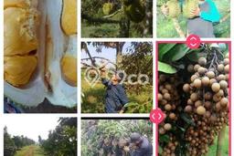 Tanah Kavling untuk Dijual di Ciemas Sukabumi 1.3e+06m2 Tanah Kavling untuk Dijual di Ciemas Sukabumi 1.3e+06m2
