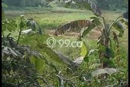 Tanah untuk Dijual di Sawangan Depok Luas 19000m2 Tanah untuk Dijual di Sawangan Depok Luas 19000m2