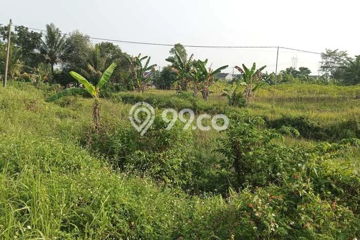 Tanah Dijual Lokasi Strategis di Bogor dengan Luas 12000m2 Tanah Dijual Lokasi Strategis di Bogor dengan Luas 12000m2