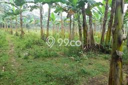 Kavling Tanah Dijual di Cileungsi Bogor Spesifikasi 13700m2 Kavling Tanah Dijual di Cileungsi Bogor Spesifikasi 13700m2