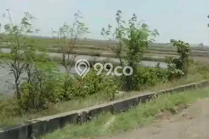 Lahan Kosong Dijual di Losari, Cirebon, Luas 1e+07m2 Area Strategis Lahan Kosong Dijual di Losari, Cirebon, Luas 1e+07m2 Area Strategis