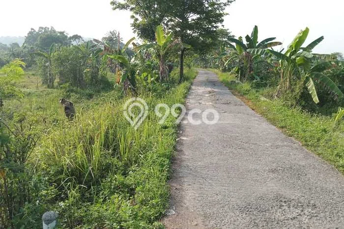Tanah Dijual Lokasi Strategis di Bogor dengan Luas 12000m2 Tanah Dijual Lokasi Strategis di Bogor dengan Luas 12000m2