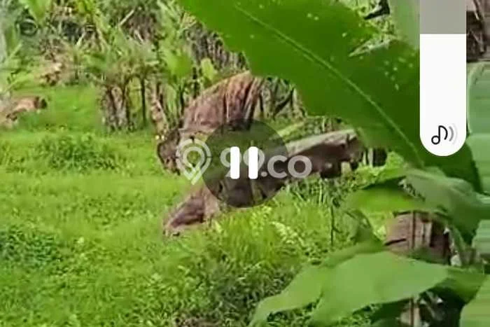 Lahan Kosong Dijual di Parakan Salak, Sukabumi, Luas 280000m2 Area Strategis Lahan Kosong Dijual di Parakan Salak, Sukabumi, Luas 280000m2 Area Strategis