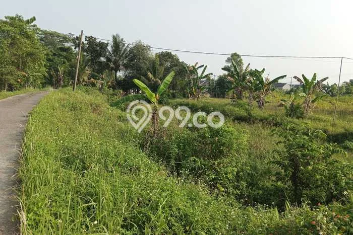 Tanah Dijual Lokasi Strategis di Bogor dengan Luas 12000m2 Tanah Dijual Lokasi Strategis di Bogor dengan Luas 12000m2