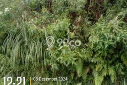 Lahan Kosong Dijual di Cigudeg, Bogor, Luas 400000m2 Area Strategis Lahan Kosong Dijual di Cigudeg, Bogor, Luas 400000m2 Area Strategis