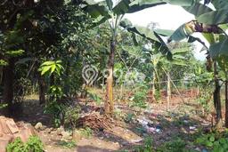Kavling Tanah di Cileungsi Dijual Luas 1380m2 Legalitas - Kavling Tanah di Cileungsi Dijual Luas 1380m2 Legalitas -