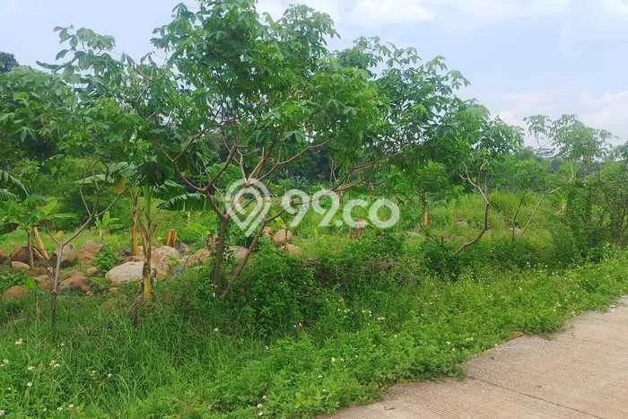 Tanah Dijual Lokasi Citeureup, Bogor Luas 350000m2 Legalitas Aman Tanah Dijual Lokasi Citeureup, Bogor Luas 350000m2 Legalitas Aman
