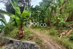 Tanah untuk Dijual di Cisolok Sukabumi Luas 10000m2 Tanah untuk Dijual di Cisolok Sukabumi Luas 10000m2