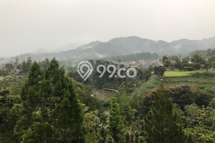 Tanah Dijual Lokasi Lembang, Bandung Barat Luas 25687m2 Legalitas Aman Tanah Dijual Lokasi Lembang, Bandung Barat Luas 25687m2 Legalitas Aman