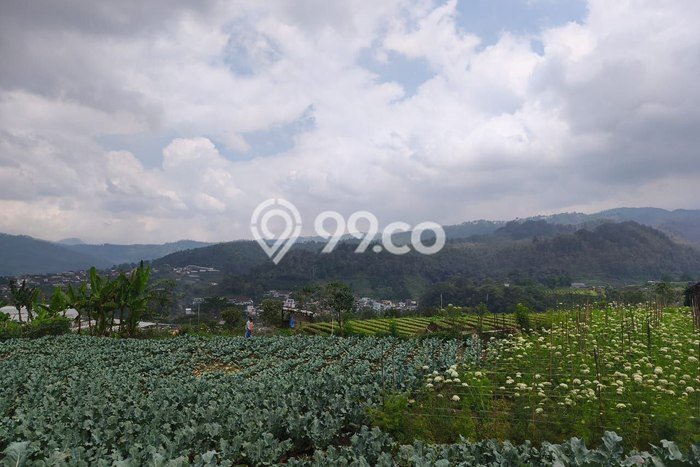 AREA PROSPEKTIF! Tanah di Bumiaji, Luas 2563m2m², Akses Fasilitas Umum AREA PROSPEKTIF! Tanah di Bumiaji, Luas 2563m2m², Akses Fasilitas Umum