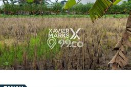 Tanah Kavling untuk Dijual di Lakarsantri Surabaya 400m2 Tanah Kavling untuk Dijual di Lakarsantri Surabaya 400m2