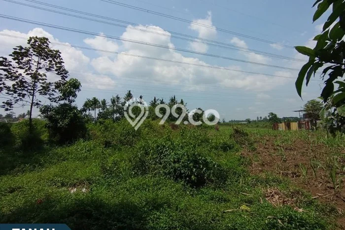 Lahan Sewa di Kedungkandang Malang dengan Luas 4031m2 Lahan Sewa di Kedungkandang Malang dengan Luas 4031m2