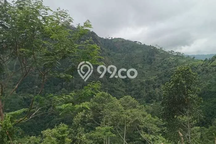 Lahan Strategis di Pangalengan Dijual dengan Luas 77349m2 Lahan Strategis di Pangalengan Dijual dengan Luas 77349m2