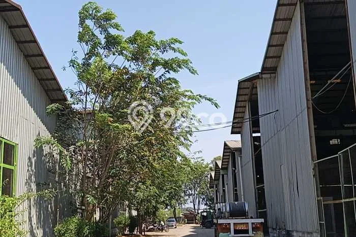 Unit Gudang Paling Strategis di Karawang Barat Karawang dengan LB 2400m2 Unit Gudang Paling Strategis di Karawang Barat Karawang dengan LB 2400m2